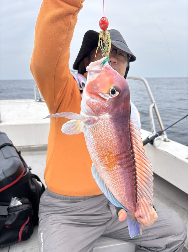 アマダイ(アカアマダイ)