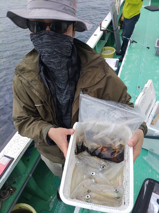 マルイカ(ケンサキイカ)