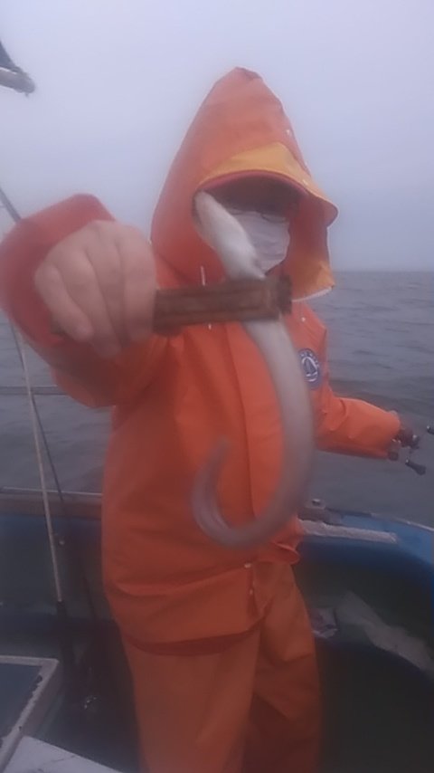 アナゴ(マアナゴ)