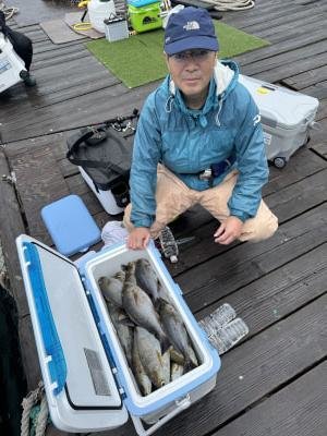 イサギ(イサキ)