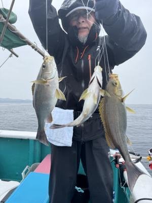 イサギ(イサキ)