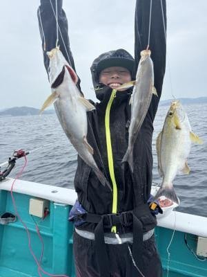 イサギ(イサキ)