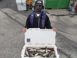 マアジ・イサキ