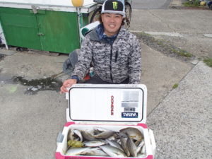 マアジ・イサキ