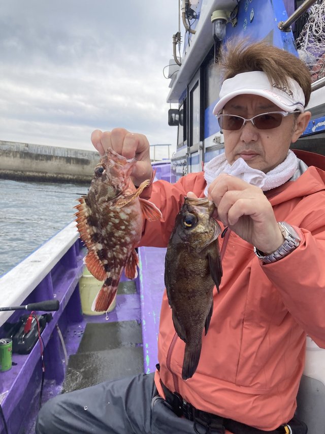 カサゴ・メバル