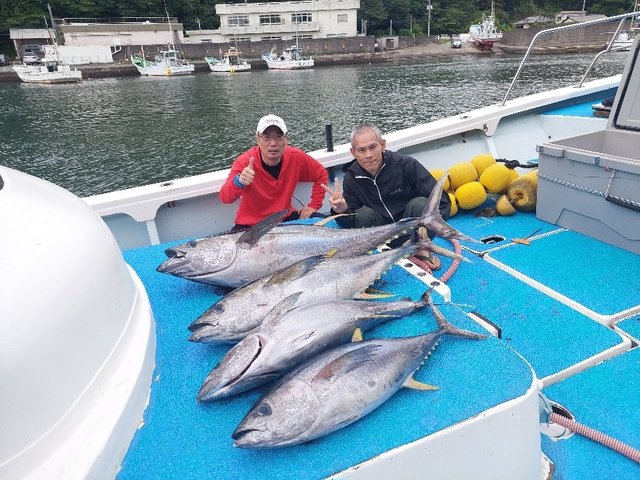 キハダマグロ(キハダ)