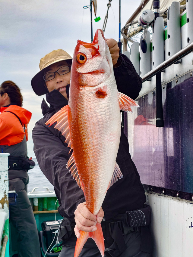 オオクチハマダイ