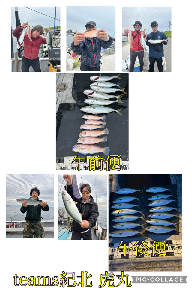 ハマチ(ブリ)・シロアマダイ