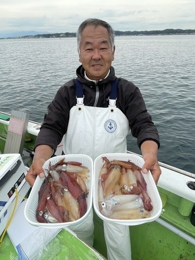 マルイカ(ケンサキイカ)