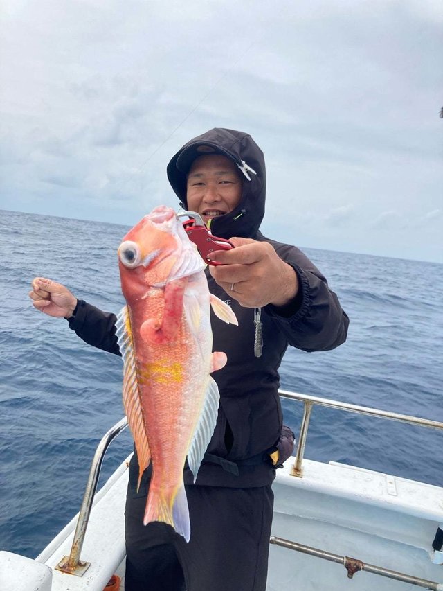 アマダイ(アカアマダイ)