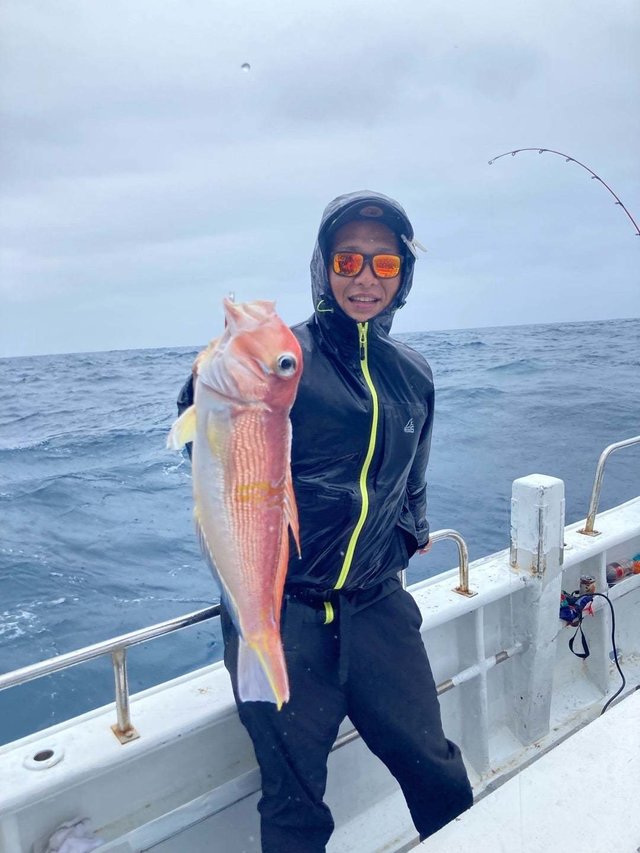 アマダイ(アカアマダイ)