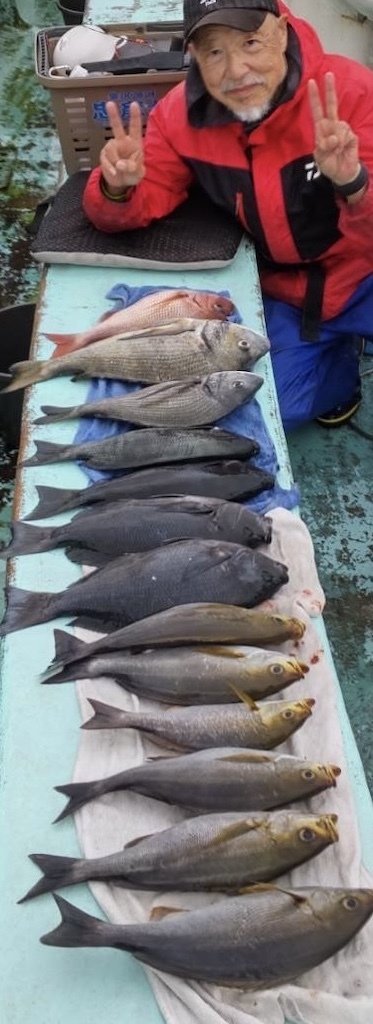 マダイ・クロダイ・メジナ・イサキ