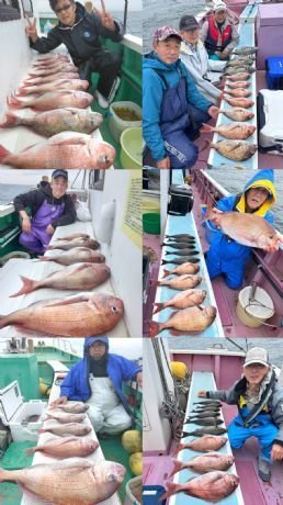 マダイ・クロダイ・メジナ