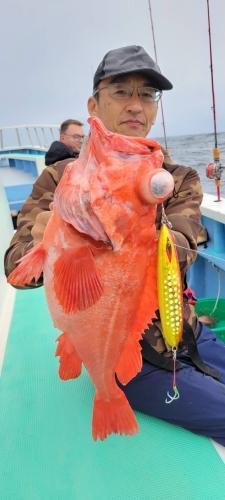 メヌケ(アコウダイ)