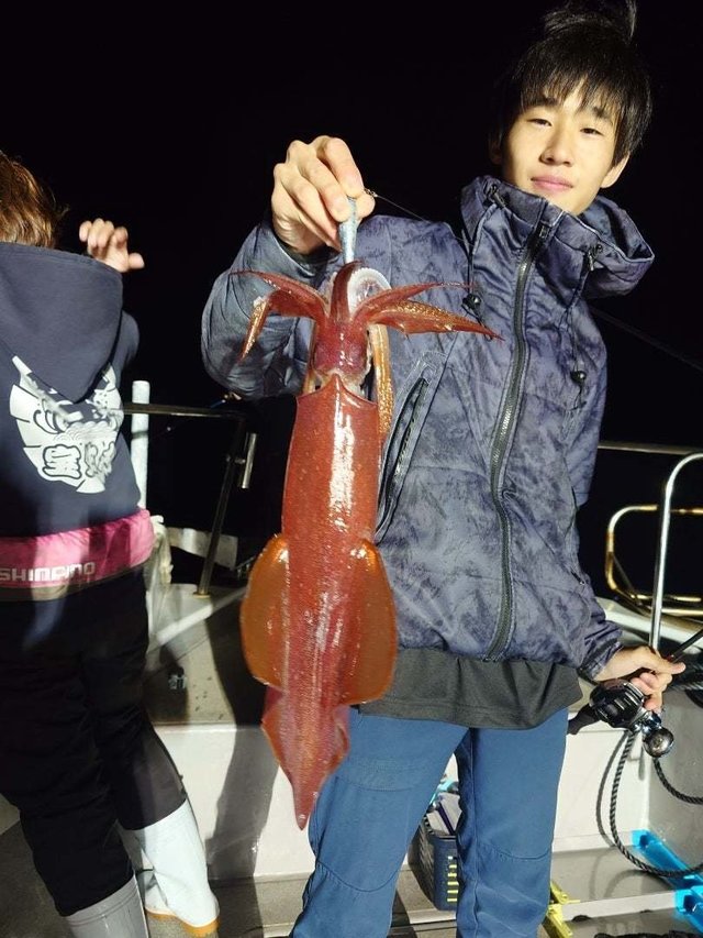 ケンサキ(ケンサキイカ)