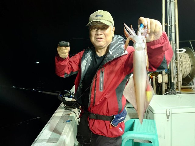 マイカ(ケンサキイカ)