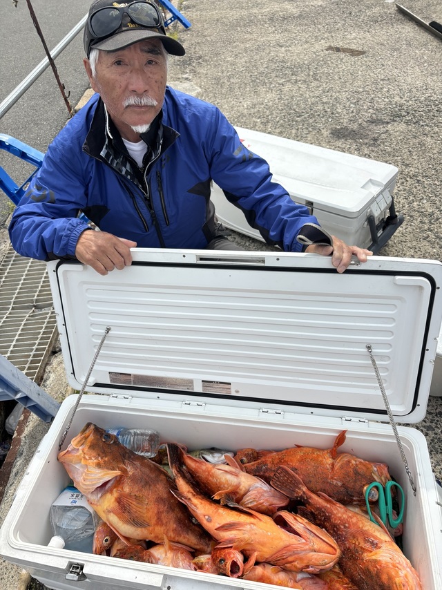 ボッコ(カサゴ)