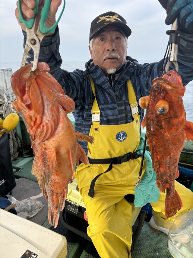 ボッコ(カサゴ)