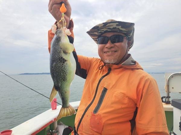 ショウサイフグ