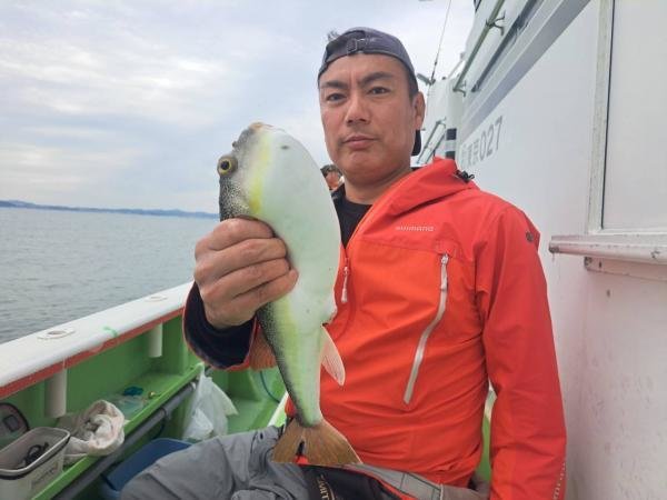 ショウサイフグ