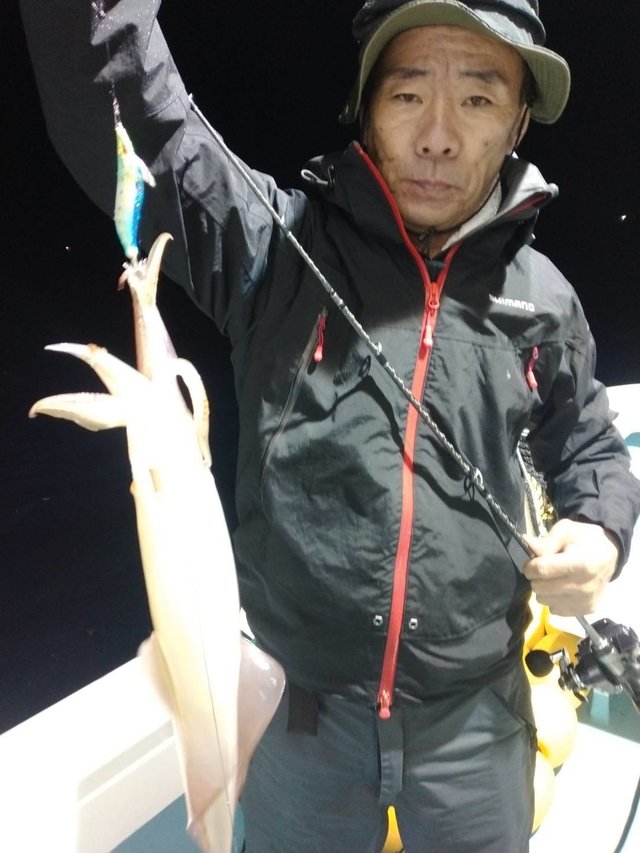 イカ(ヤリイカ)