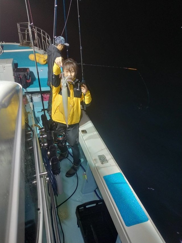 イカ(ヤリイカ)