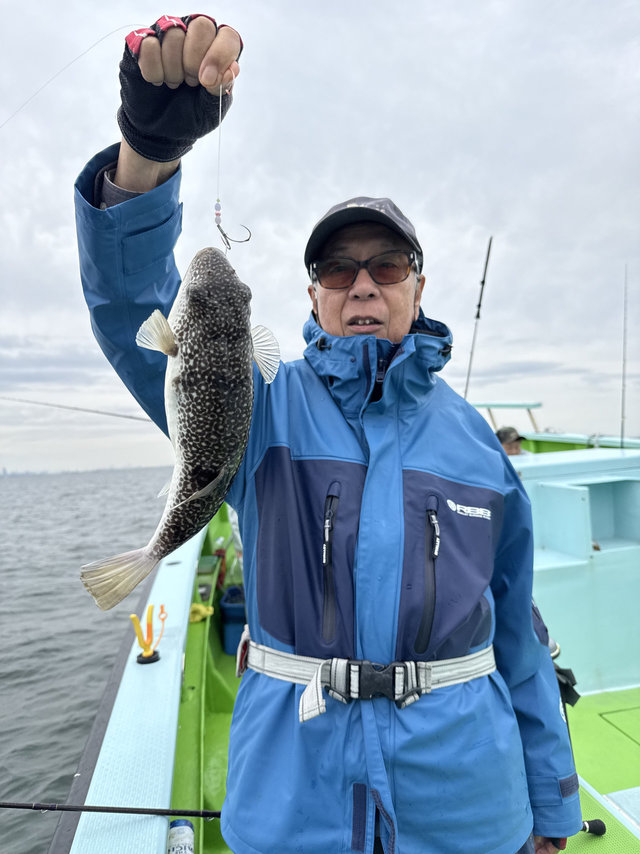 フグ(ショウサイフグ)