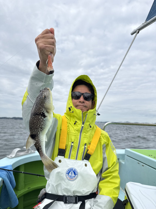 フグ(ショウサイフグ)