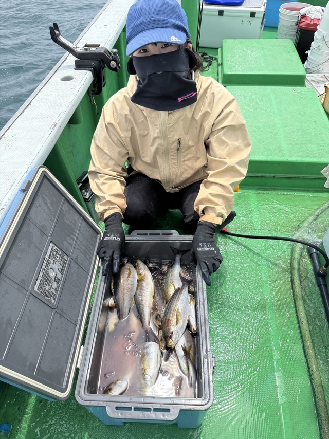 イサギ(イサキ)