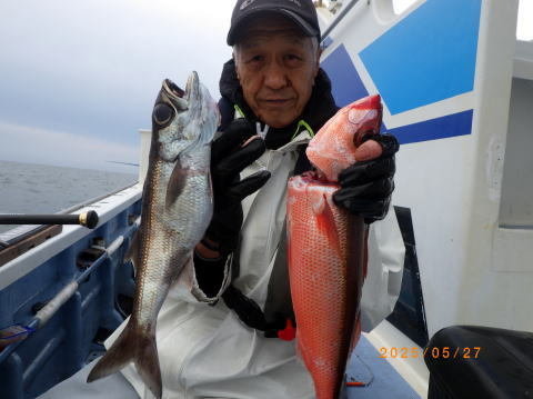 クロムツ・ハチビキ