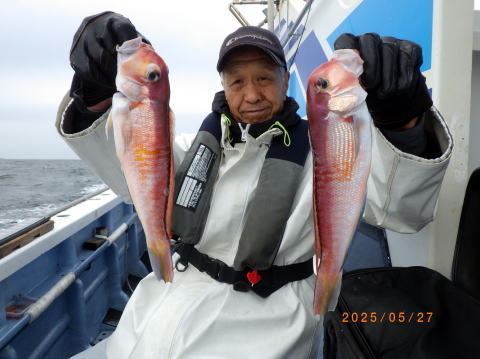 アマダイ(アカアマダイ)