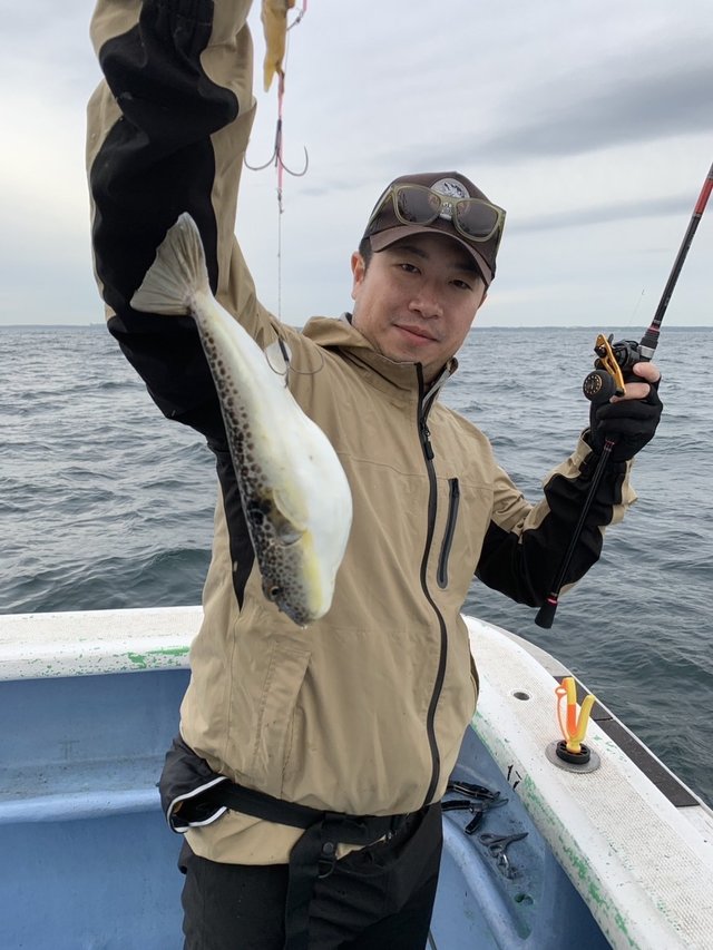 ショウサイフグ