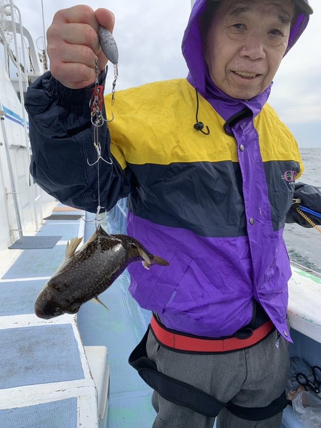 ショウサイフグ