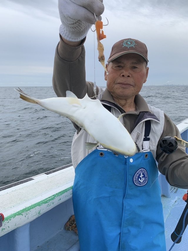 ショウサイフグ