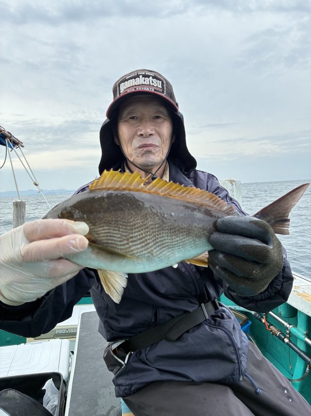 イサギ(イサキ)