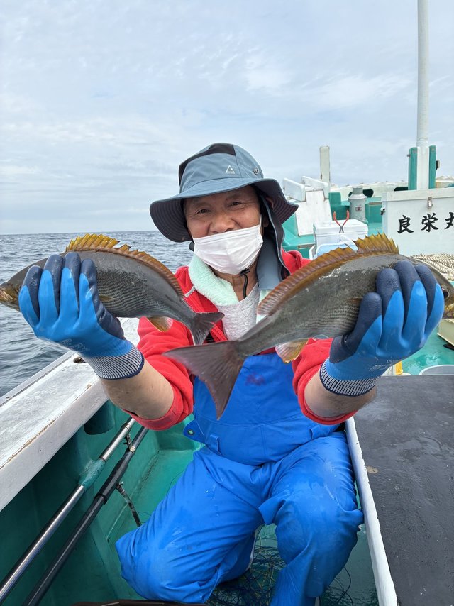 イサギ(イサキ)