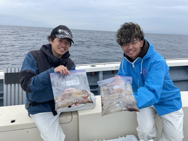 マルイカ(ケンサキイカ)