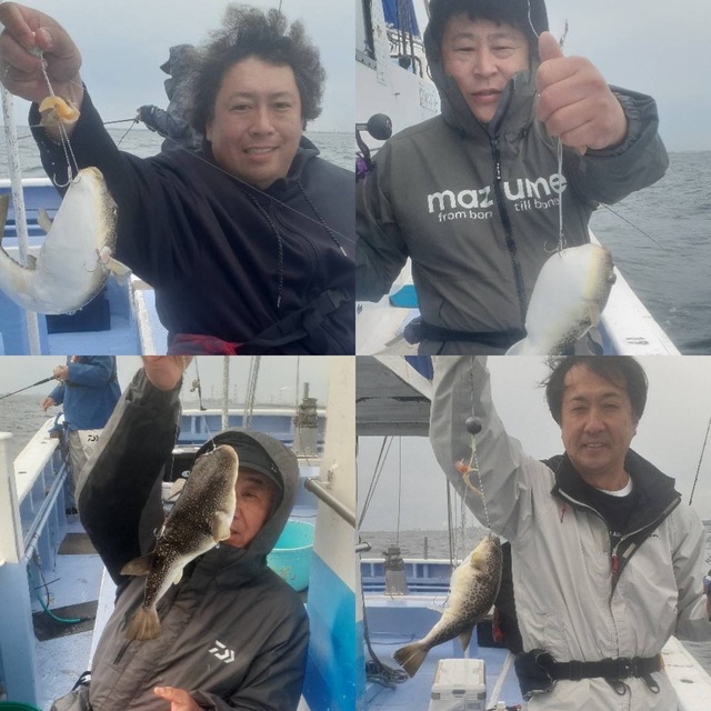 ショウサイフグ