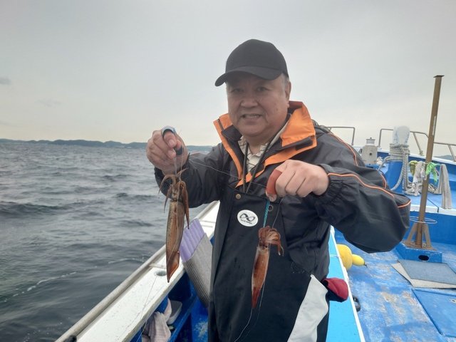 ムギイカ(スルメイカ)