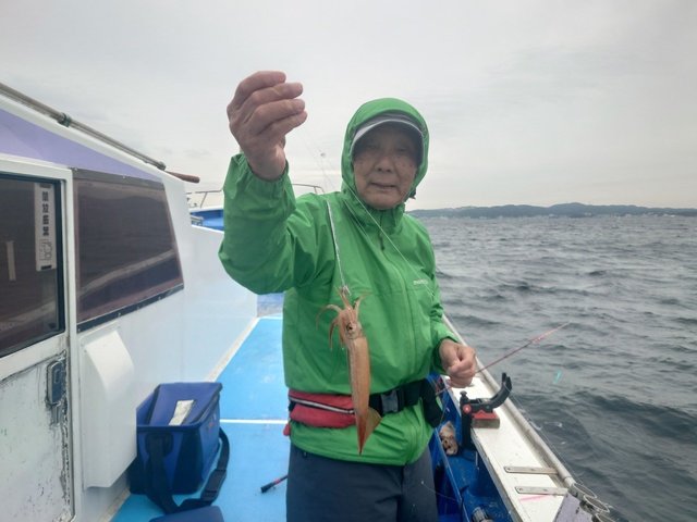 ムギイカ(スルメイカ)