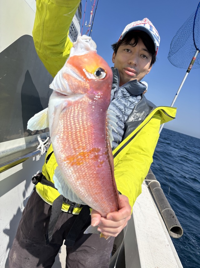 アマダイ(アカアマダイ)