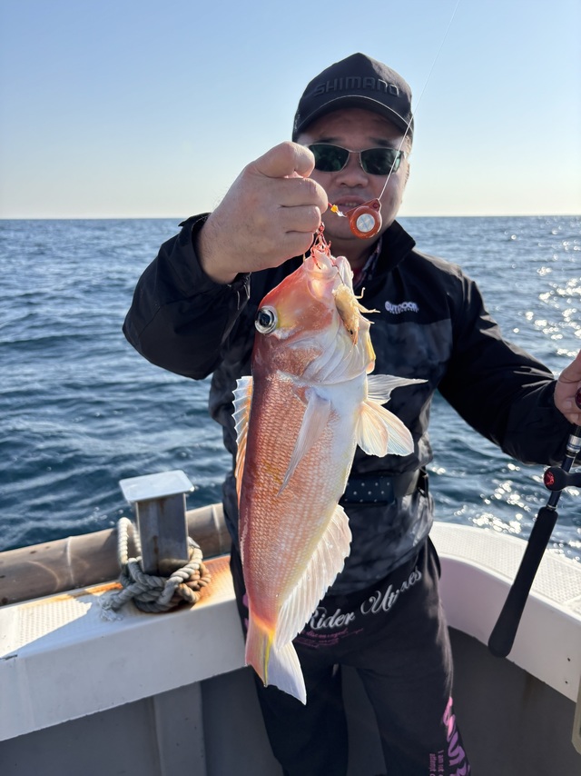 アマダイ(アカアマダイ)