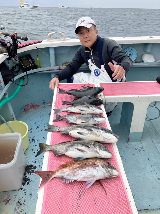 マダイ・クロダイ・メジナ