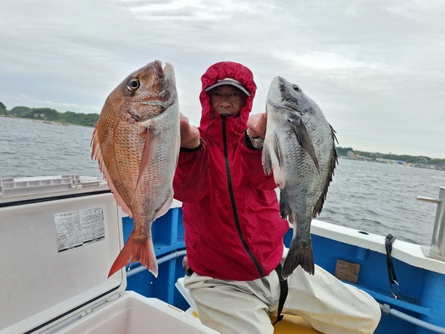 マダイ・クロダイ