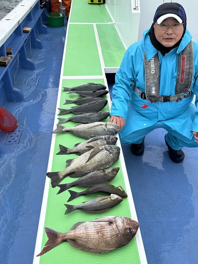 マダイ・メジナ・イサキ