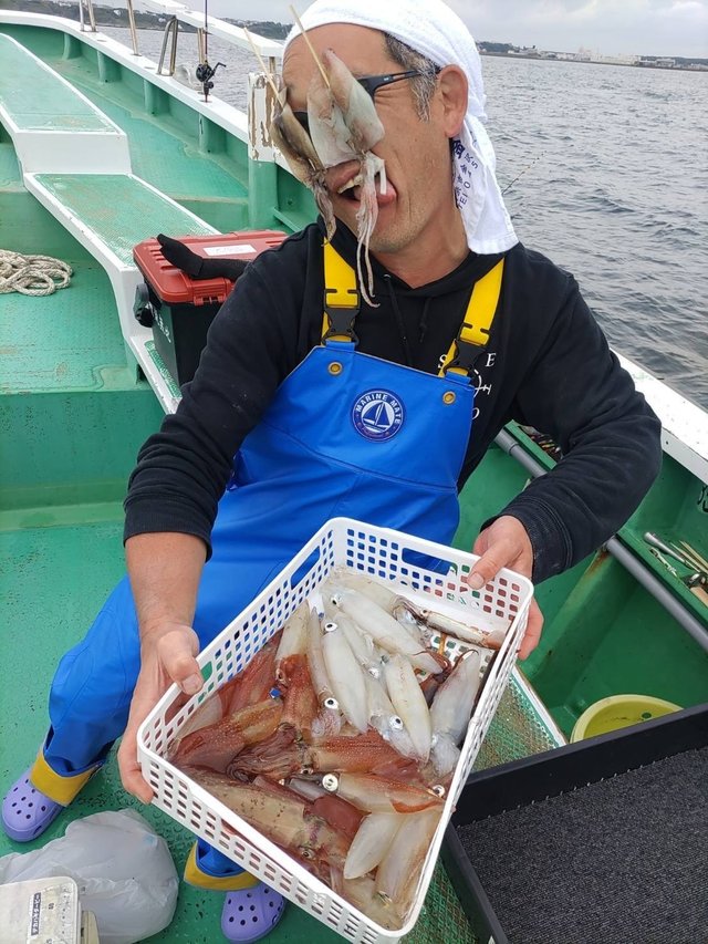 マルイカ(ケンサキイカ)