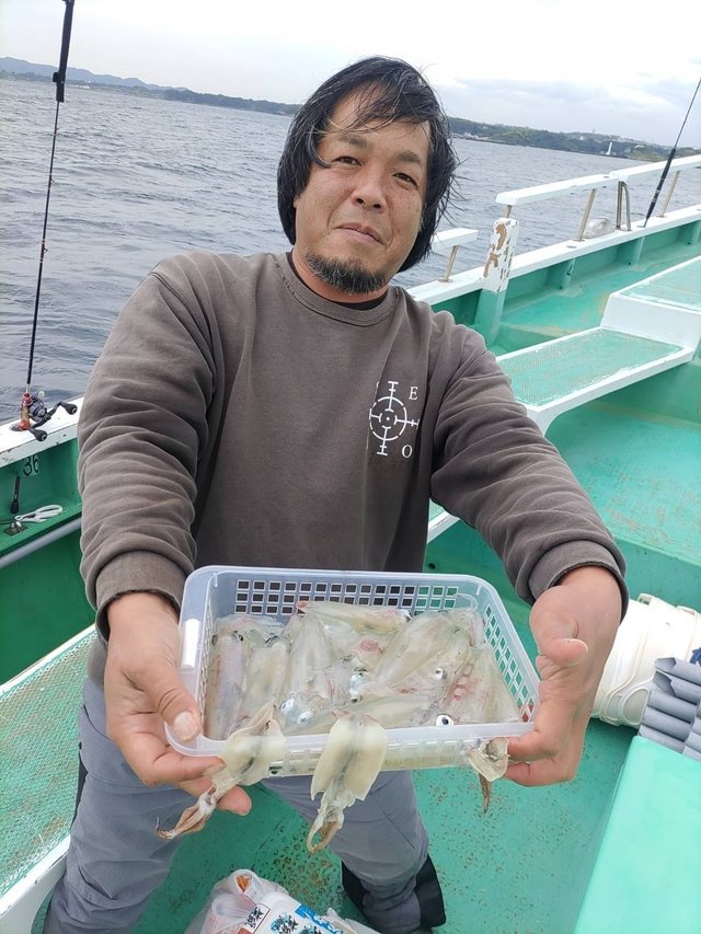 マルイカ(ケンサキイカ)