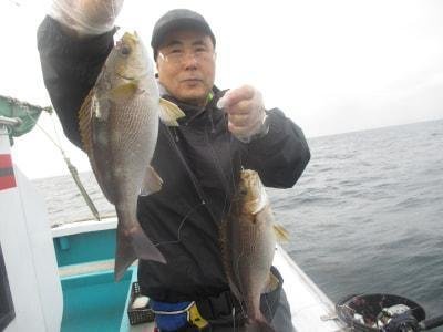 イサギ(イサキ)