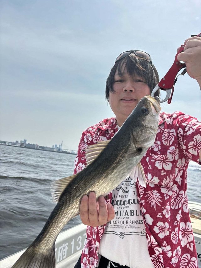 シーバス(スズキ)