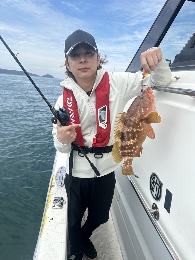 アコウ(キジハタ)